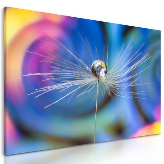 Obraz kvapka s nádherným pozadím