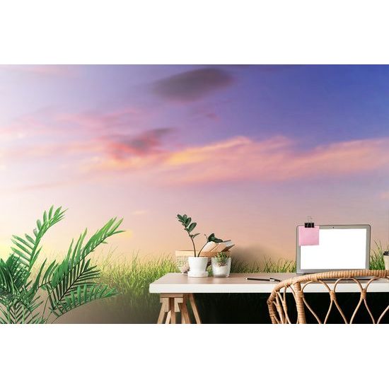 Samolepiaca tapeta nádherná obloha nad lúkou