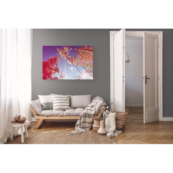 Obraz steblá trávy v lúčoch slnka