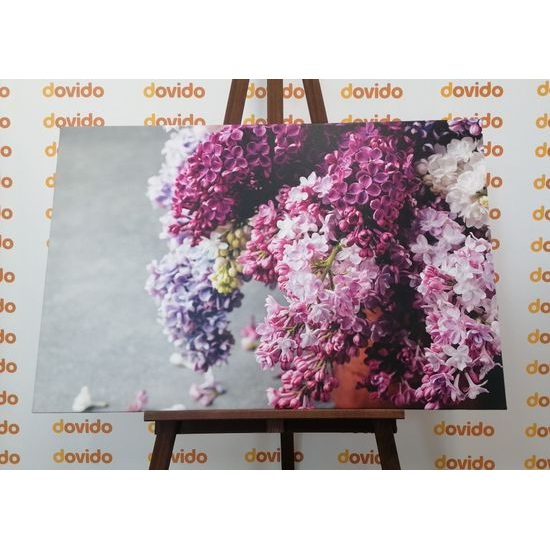 Obraz nádherný orgován v kvetináči