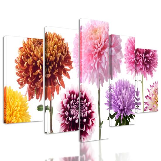 5-dielny obraz rôznofarebné kvety dálie