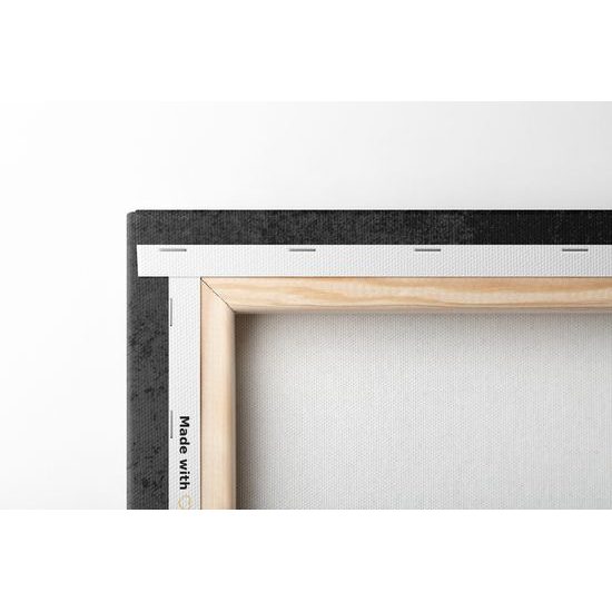 Obraz zaujímavá abstrakcia v čiernobielom prevedení