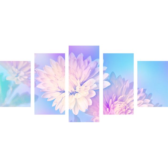 5-dielny obraz nádherné biele kvety chryzantény