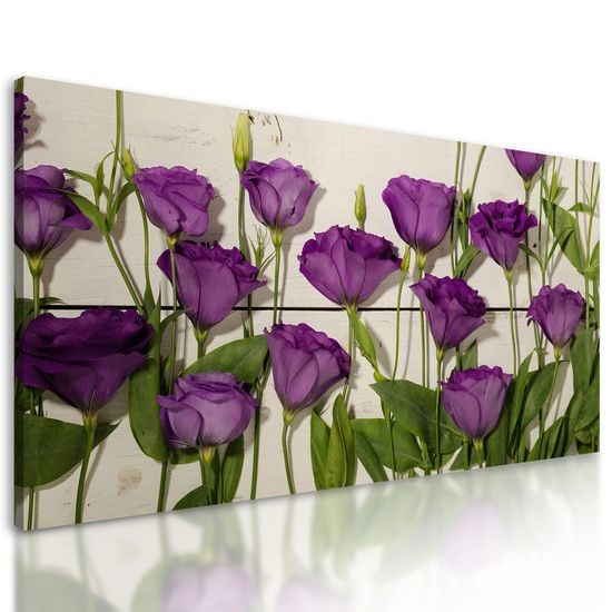 Obraz nádherné kvety s dreveným pozadím