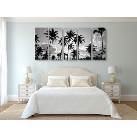 5-dielny obraz čiernobiele kokosové palmy