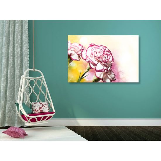 Obraz rozkvitnutý karafiát