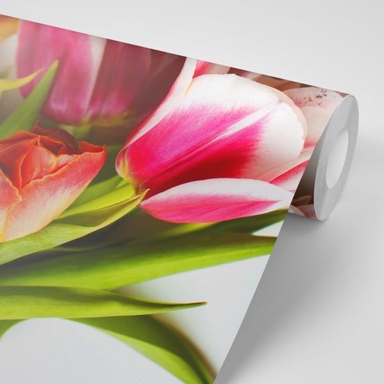 Samolepiaca fototapeta kytica jarných tulipánov
