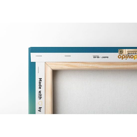 Obraz umelecká abstrakcia mapy sveta