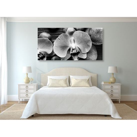 Obraz orchidea a Zen kamene na drevenom pozadí v čiernobielom prevedení