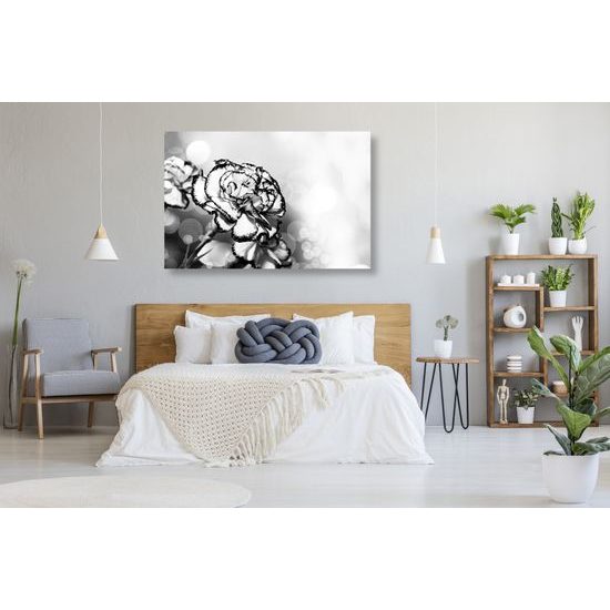 Obraz rozkvitnutý karafiát v čiernoielom prevedení