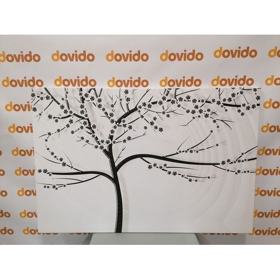 Obraz sakura na jemným pozadím v čiernobielom prevedení