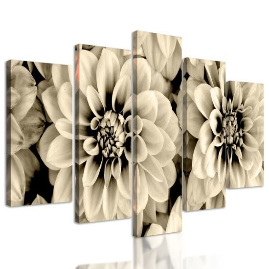 5-dielny obraz jemné rozkvitnuté dálie v sépiovom prevedení
