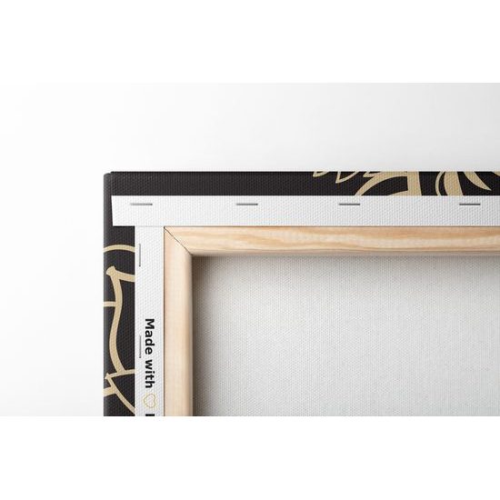 Obraz nevšedná Mandala na čiernom pozadí