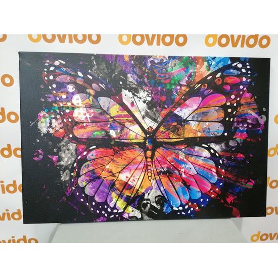 Obraz pestrofarebný motýľ