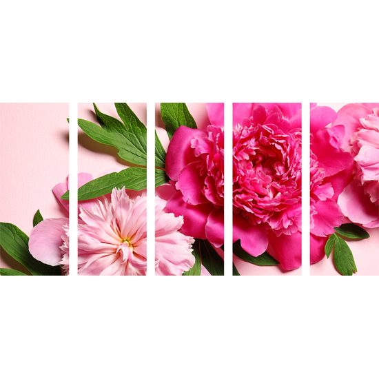 5-dielny obraz pôvabné ružové pivónie