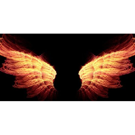 Obraz rozpálené anjelské krídla