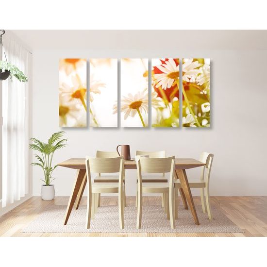 5-dielny obraz kvety na slnečnej lúke