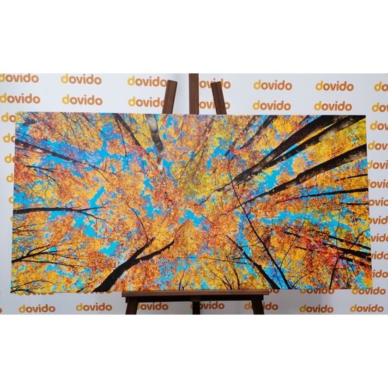 Obraz jesenné farby listov