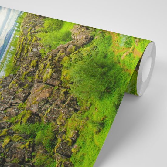 Fototapeta zaujímavý park Thingvellir