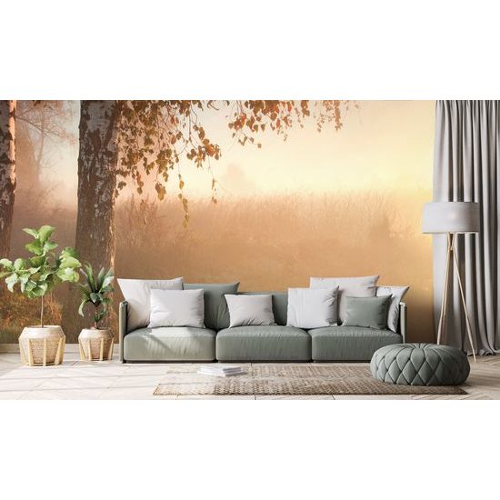 Fototapeta hmlisté ráno