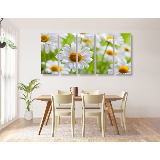 5-dielny obraz prekrásne sedmokrásky