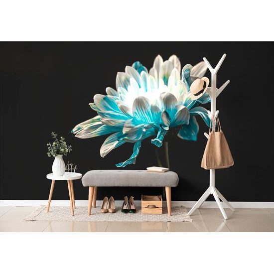 Samolepiaca tapeta nádherná sedmokráska na tmavom pozadí