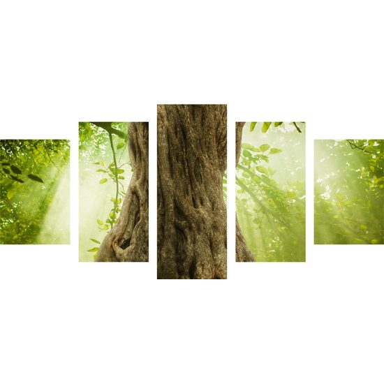 5-dielny obraz pevný základ stromu