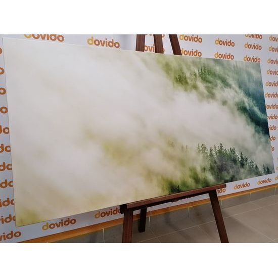 Obraz les zahalený do hmly