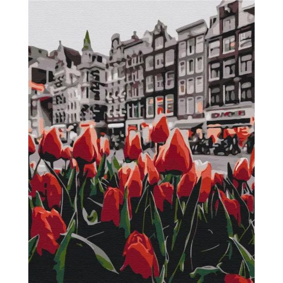 Maľovanie podľa čísiel nádherná ulica v Amsterdame