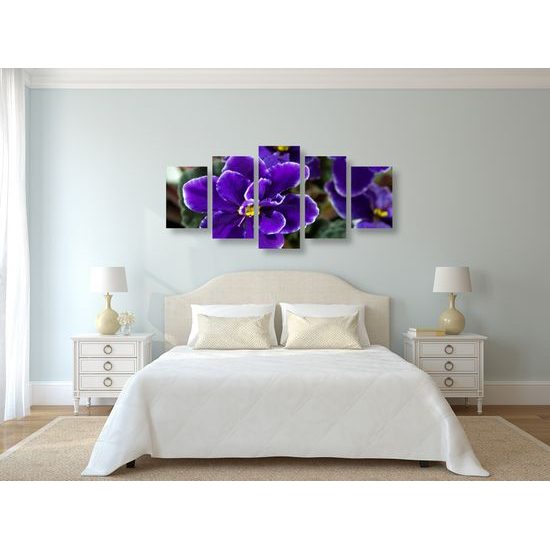 5-dielny obraz kvitnúca fialka