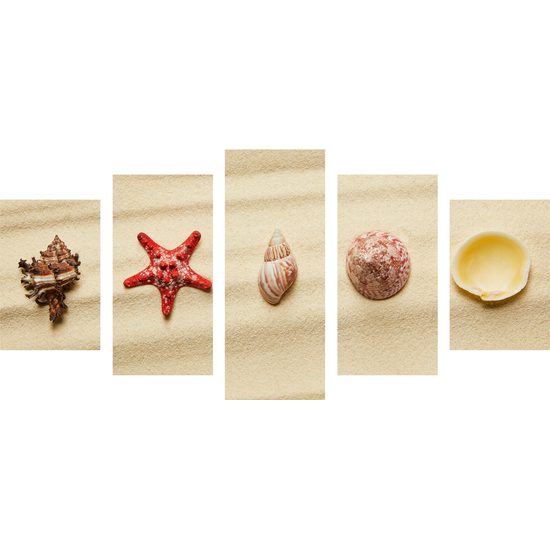 5-dielny obraz zátišie z mušlí na pláži