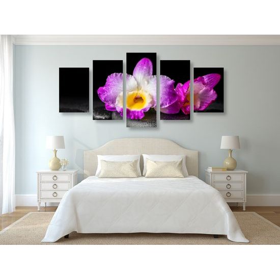 5-dielny obraz krásny kvet orchidei