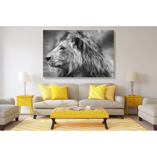 Obraz nádherný lev v čiernobielom prevedení