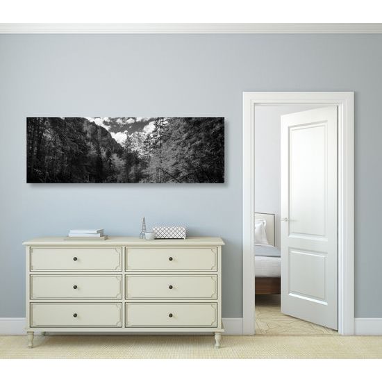 Obraz krásy jesennej prírody v čiernobielom prevedení