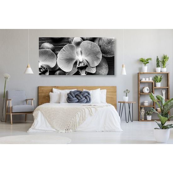 Obraz orchidea a Zen kamene na drevenom pozadí v čiernobielom prevedení
