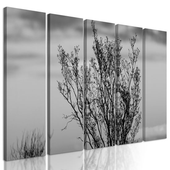 5-dielny obraz bylinky pri západe slnka v čiernobielom prevedení