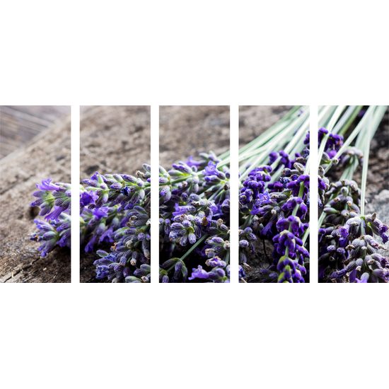 5-dielny obraz liečivé bylinky