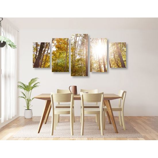5-dielny obraz slnko v korunách stromov