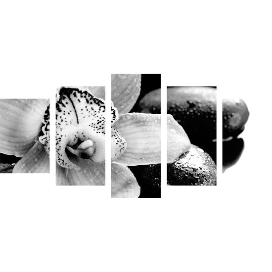 5-dielny obraz čiernobiely kvet orchidei