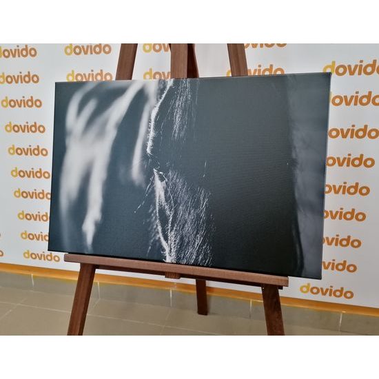 Obraz čiernobiely kôň