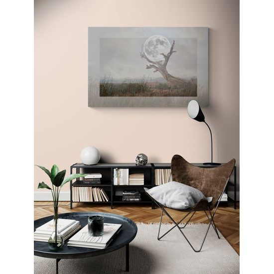 Obraz umelecké zobrazenie mesiaca