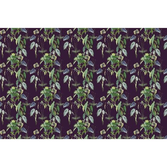 Tapeta krásne listy zahalené v tme