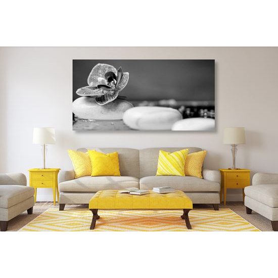 Obraz zaujímavé biele Zen kamene a kvet orchidei v čiernobielom prevedení