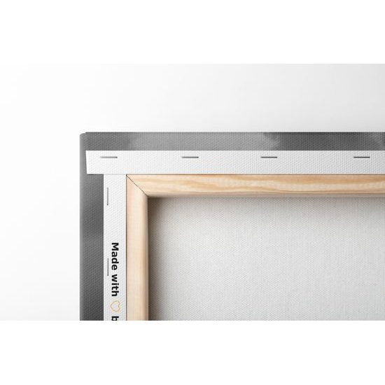 Obraz pole plné levandule v čiernobielom prevedení