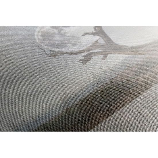 Obraz magický mesiac v objatí prírody