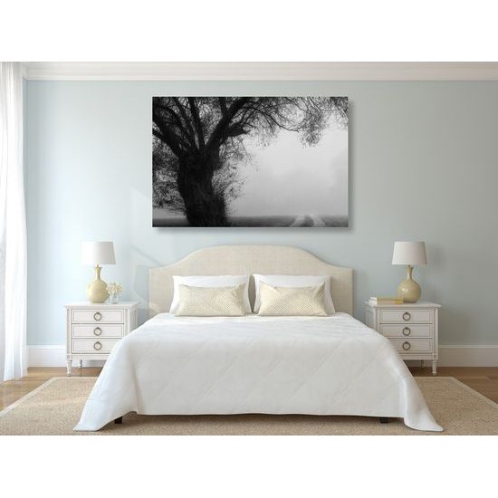 Obraz pole zahalené v rannej hmle v čiernobielom prevedení