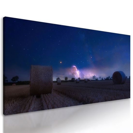 Obraz lúka a pohľad na hivezdy