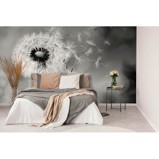 Samolepiaca fototapeta čiernobiely dotyk púpavy s vetrom