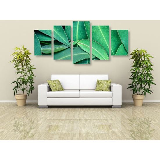 5-dielny obraz jemné listy