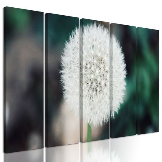 5-dielny obraz dokonalá púpava